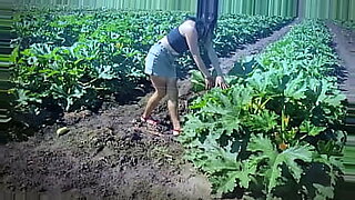 A farmer working on his tractor accidentally stumbled upon an adult film shoot.