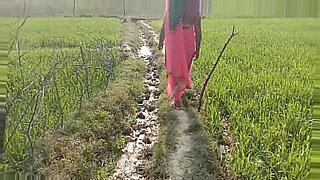 Field desi anal